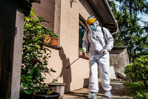 Best Wasp Removal Services  in Menonee, MI