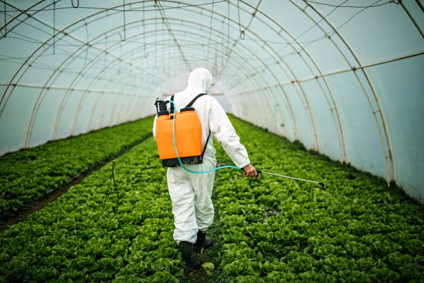 Best Best Pest Control Companies  in Menonee, MI