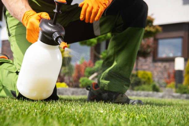 Best Mosquito Control Services  in Menonee, MI