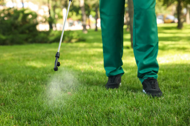 Best Affordable Pest Control Services  in Menonee, MI