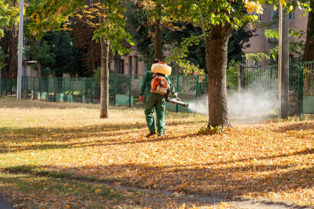 Pest Prevention Services in Menominee, MI